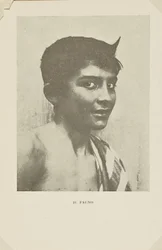 Le Faune