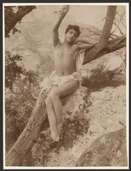 [Jeune homme dans un arbre, le bras levé]