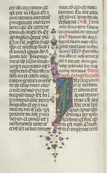 Missale : Fol. 22v : Feuillage avec poisson, 1469