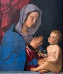 Madone et enfant, c.1503