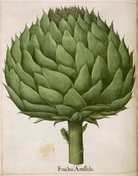 Artichaut, de 