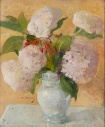 Hortensias