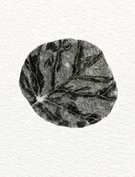 Feuille, 2014