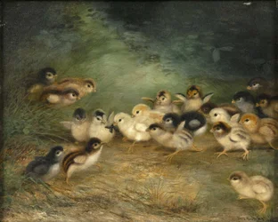Vingt-et-un poussins et un insecte