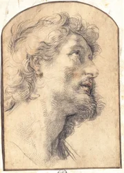 Étude de la tête de Saint Crispin