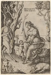Famille de satyres