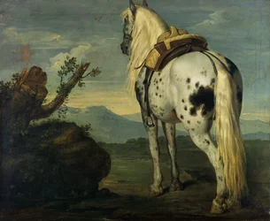Un cheval Selle Français dans un paysage