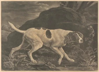 [Chasse] 