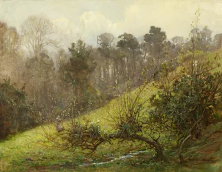Oies et oisons