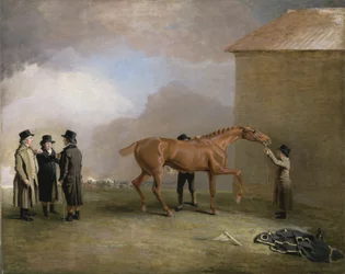 Muly Moloch, un poulain alezan frotté sur la lande de Newmarket, avec des portraits de Trotter, Hardy et Thompson à gauche