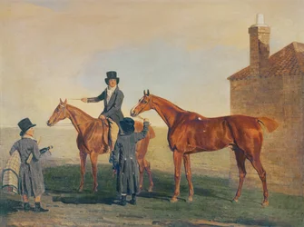 Bruant Jaune, c.1800