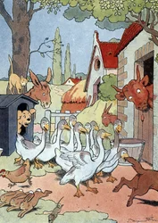 Les oies du Capitole de Toulouse donnent l