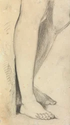 Étude de jambes