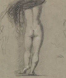 Étude de dos d