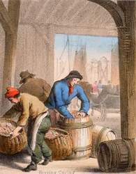 Curation du hareng, vers 1845