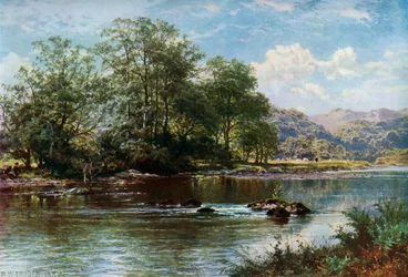 Le ruisseau en été