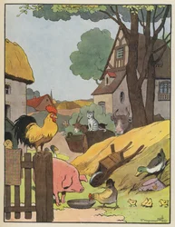 Animaux dans une ferme