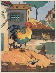 Coq et poules dans une ferme