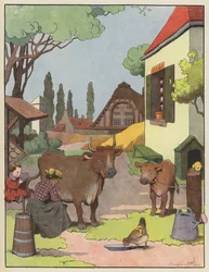 Femme trayant une vache dans une ferme