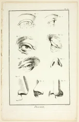 Design : Anatomie faciale de l