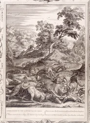 Actéon transformé en cerf et dévoré par ses chiens, 1731