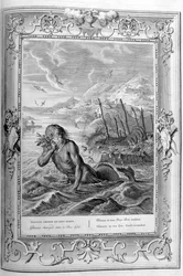 Glaucus transformé en dieu de la mer, 1733