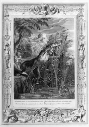 Pan poursuit Syrinx (gravure)