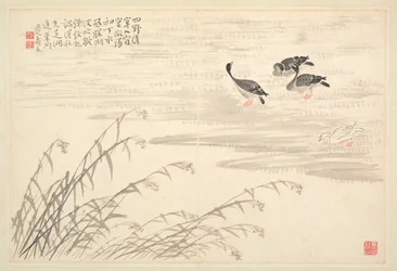 Album de calligraphie et de peintures, 18e siècle