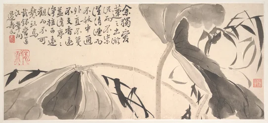Feuilles de lotus et roseaux d