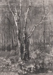 Bois dans le parc près de Monza, 1895