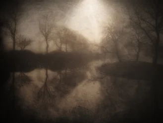 Reflet dans la forêt brumeuse