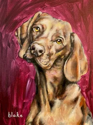 Les chiens règnent