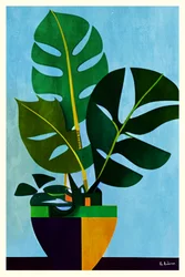 Monstera moderne en pot