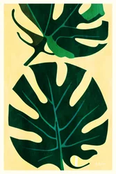Feuilles de monstera tropical