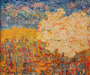 Le sureau II