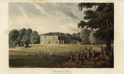 Troupeau de cerfs devant Trentham Hall