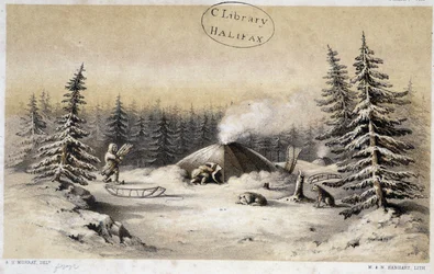 Habitations d