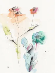 Des plantes printanières aux couleurs éclatantes
