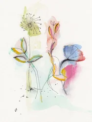 Fleurs aux couleurs vives à l