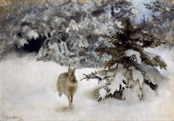 Un lièvre dans la neige