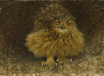 Un hibou grand-duc, 1905