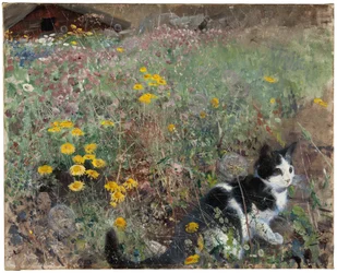 Chat dans une prairie fleurie