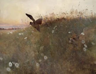 Renard et bécasse
