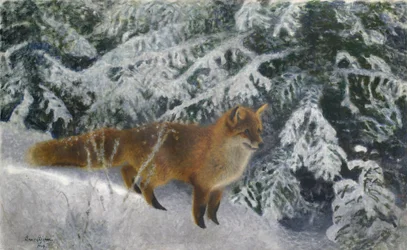 Renard en hiver
