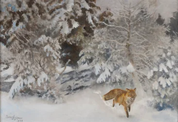 Renard dans un paysage d