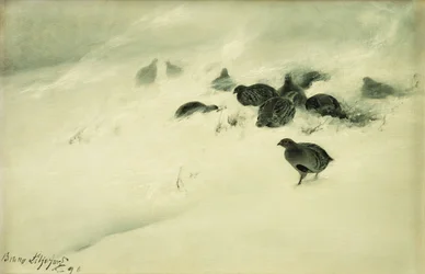 Gélinottes dans une tempête de neige