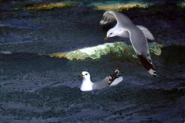 Mouettes