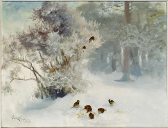 Nourrissage des oiseaux dans la neige