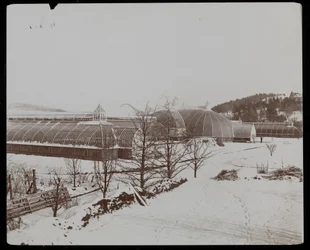 Les serres dans la neige au domaine Helen Gould (ancienne résidence de Jay Gould) à Tarrytown, New York
