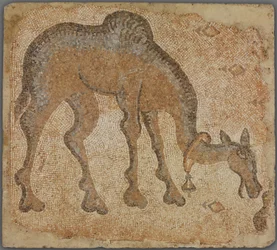 Fragment de mosaïque avec chameau broutant
